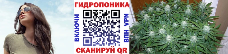 Галлюциногенные грибы Дорогобуж