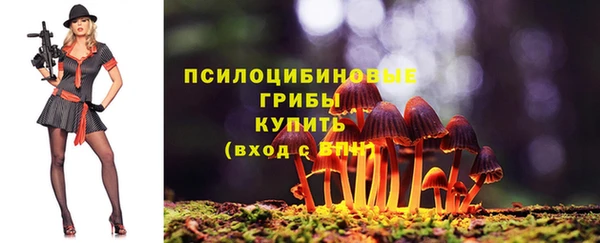 трава Гусев