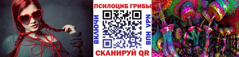 Псилоцибиновые грибы Magic Shrooms  хочу наркоту  Дорогобуж 